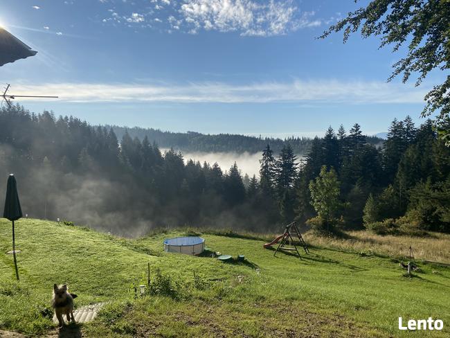 Apartament w górach Gorce Podhale Pieniny Tatry BON
