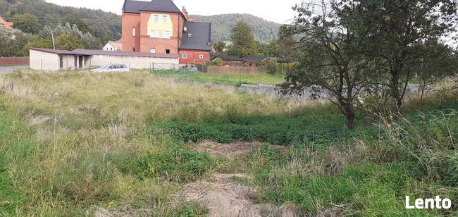 Sprzedam dom w Ołdrzychowicach Kłodzkich