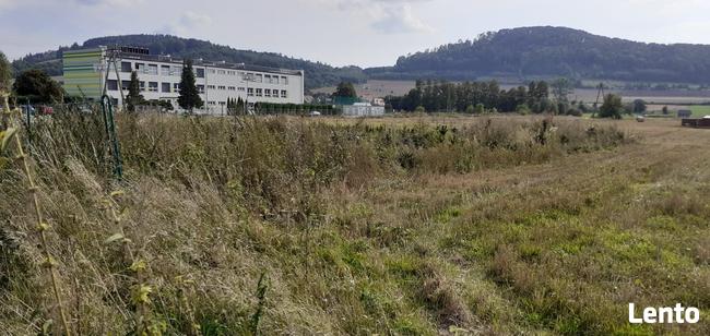 Sprzedam dom w Ołdrzychowicach Kłodzkich