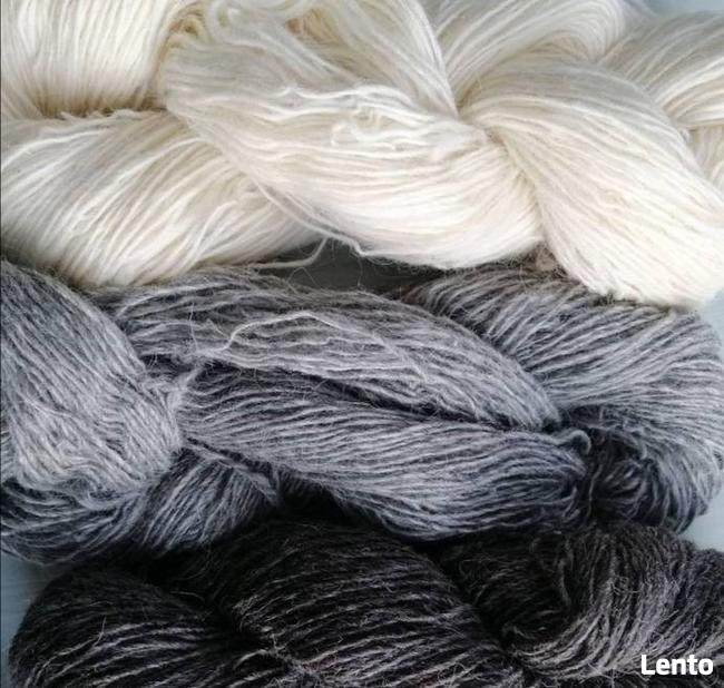 Wełna włóczka owcza 100 % naturalna ️