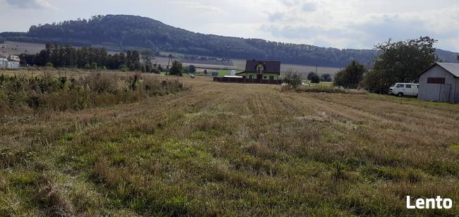 Sprzedam dom w Ołdrzychowicach Kłodzkich