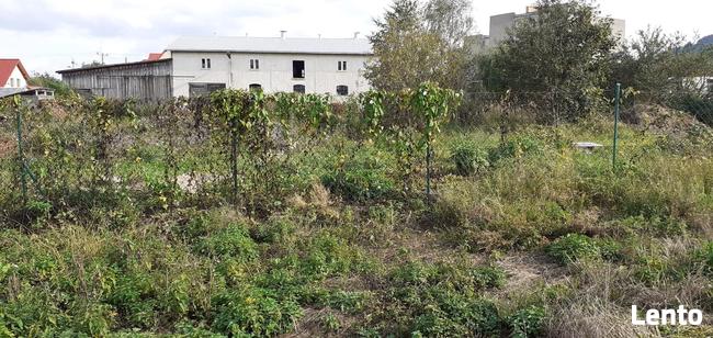 Sprzedam dom w Ołdrzychowicach Kłodzkich