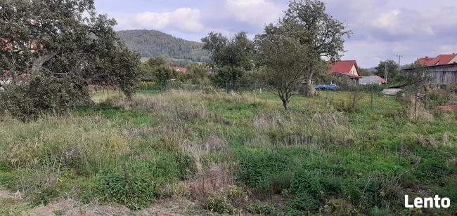 Sprzedam dom w Ołdrzychowicach Kłodzkich