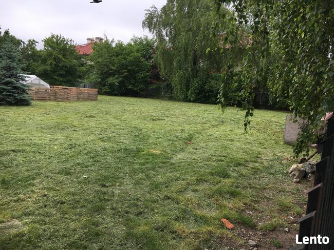 Koszenie Karczowanie Frezowanie Podcinanie Wycinka trawnik