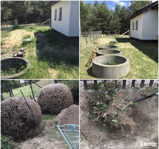 Koszenie Karczowanie Frezowanie Podcinanie Wycinka trawnik