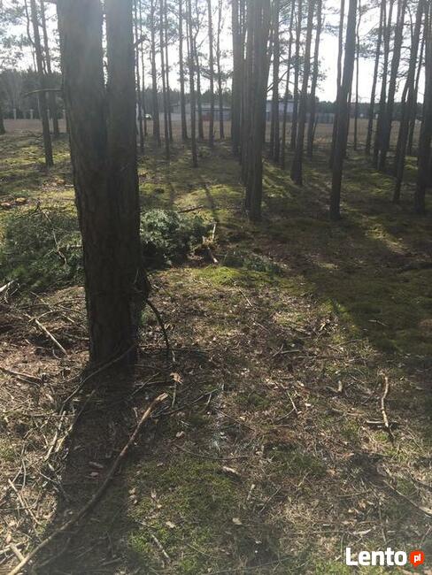 Zielonka Przyłęki działka z własnym lasem !!!