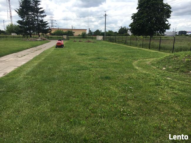 Koszenie Karczowanie Frezowanie Podcinanie Wycinka trawnik