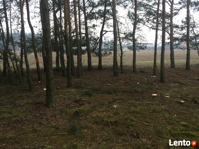 Zielonka Przyłęki działka z własnym lasem !!!