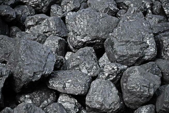 Węgiel KOSTKA Sobieski Jesienna PROMOCJA!