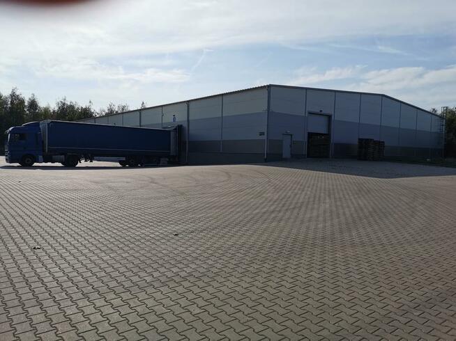 Powierzchnia magazynowa do wynajęcia