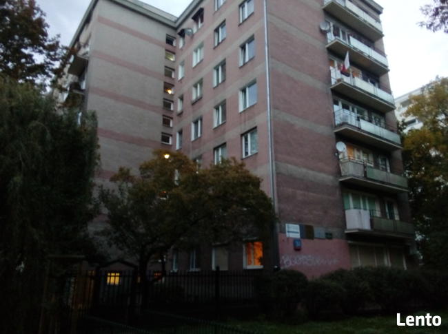 Śródmieście, ul. Hoża, 21 m2, meble, AGD