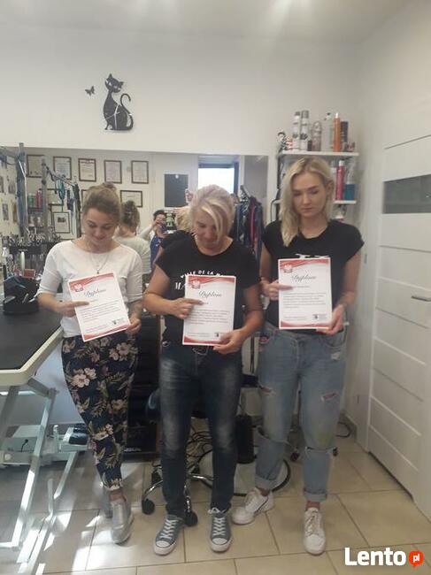 KURS GROOMINGU-STRZYŻENIE PSÓW ZAPRASZAMY SALON HAU-MIAŁ