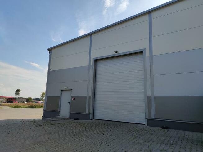 Powierzchnia magazynowa do wynajęcia