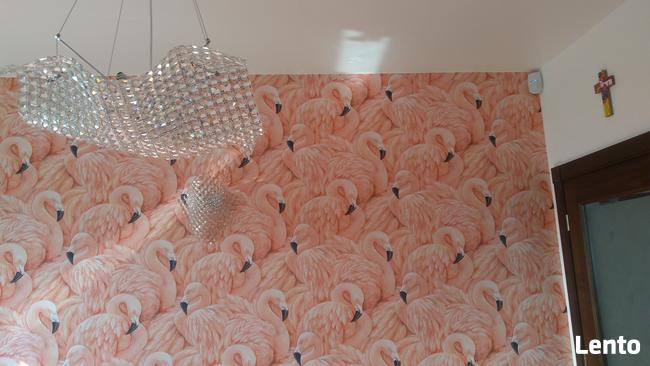 TAPETOWANIE MALOWANIE GŁADŻ PANELE- SOLIDNIE OD ZARAZ