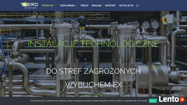 Strona internetowa -Tworzenie stron www DLA FIRM +host +dome