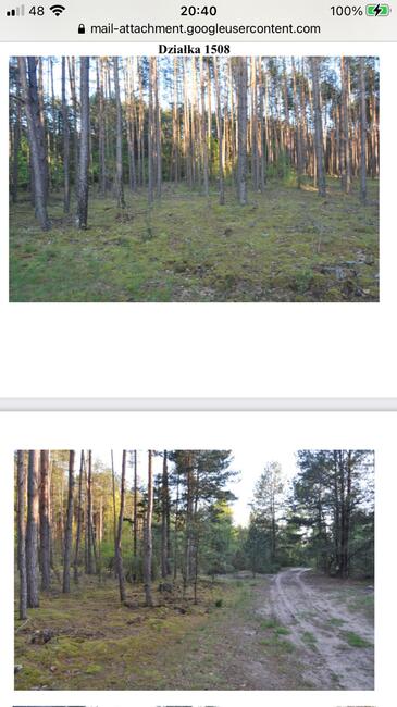 Sprzedam działki leśne w Rakowie