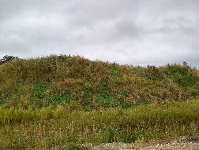 Sprzedam ziemię humus