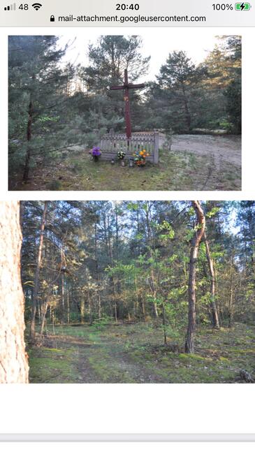 Sprzedam działki leśne w Rakowie