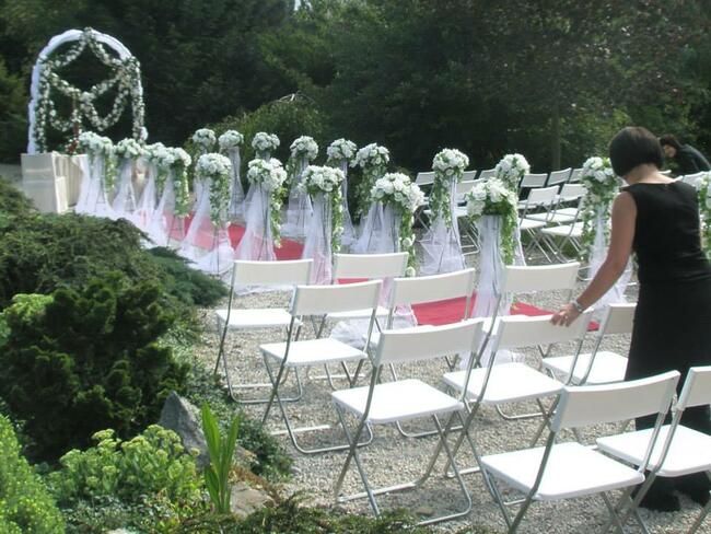 namioty , zadaszenia, wyposażenie/organizacja imprez