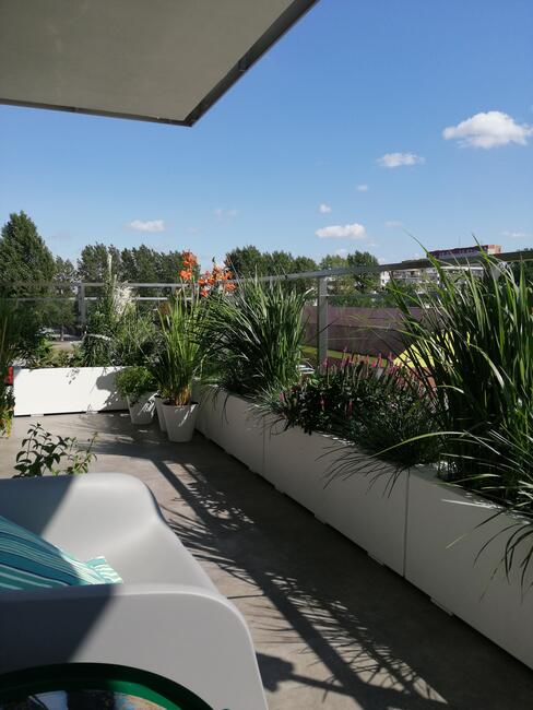 Zamianie Mieszkanie 75 m2 + garaż 2 stanowiskowy