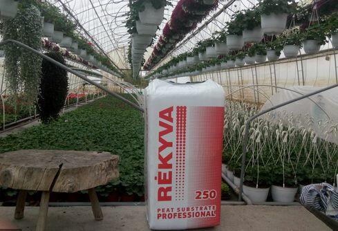 Torf odkwaszony, substrat torfowy, paleta/15opk. 250l.