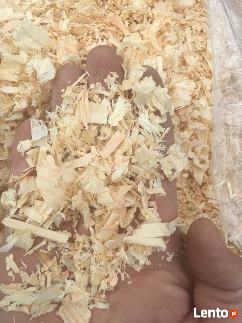 Ściółka dla koni, trocina, wióry odpylone, paleta 21opk.