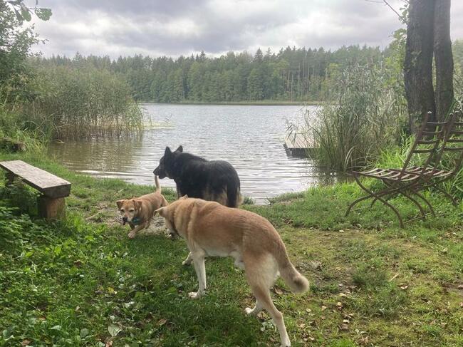Wypoczynek nad jeziorem w pieknym, cichym miejscu
