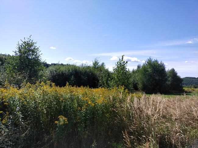 Działka widokowa 82 ara Pogórze Dynowskie