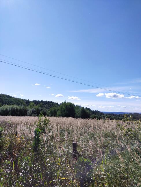 Działka widokowa 82 ara Pogórze Dynowskie