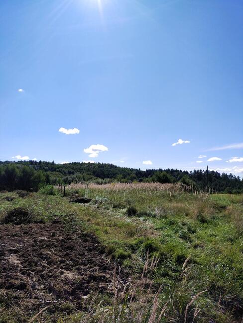 Działka widokowa 82 ara Pogórze Dynowskie