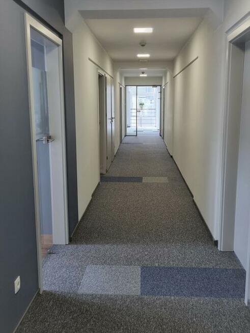 do wynajecia moduł biurowy 283 m2, we Wrocławiu ok. centrum