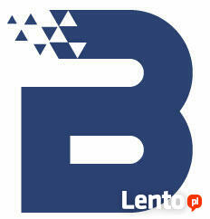 BlueNetwork | PROFESJONALNE WSPARCIE INFORMATYCZNE DLA FIRM