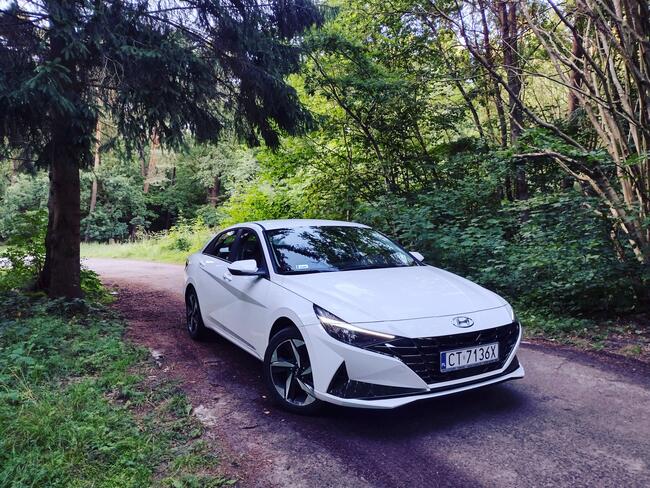 Transport po Polsce , na lotniska Gdańsk, Poznań, Berlin