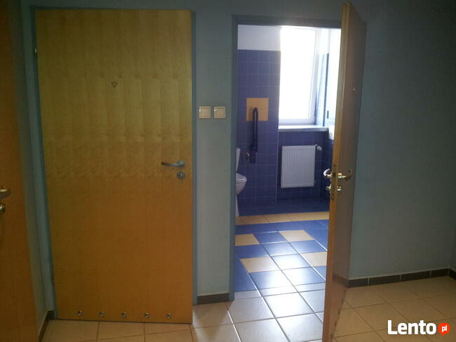 do wynajecia pow. biurowa 151 m2, ok. Pl. Legionów Wrocław