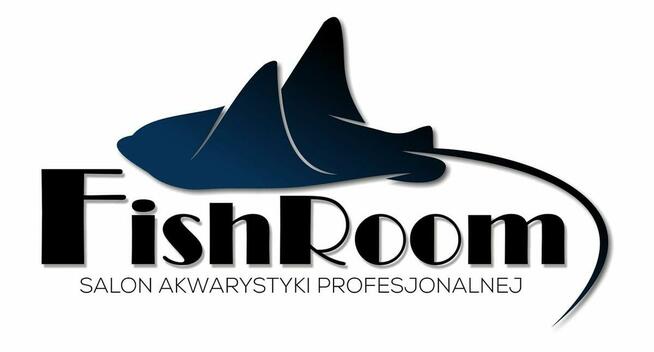 Akwaria i ryby akwariowe Warszawa. Akcesoria Akwarystyczne
