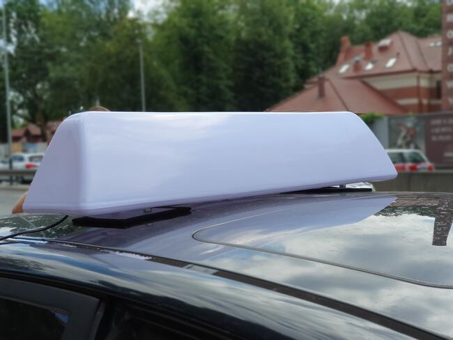 KOGUT taxi szpakówka gapa na magnesie biały kogut Kraków wys