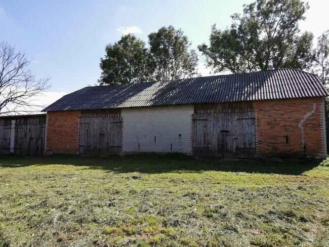Dom z SADEM OWOCOWYM + możliwość dokupienia pola 3 ha
