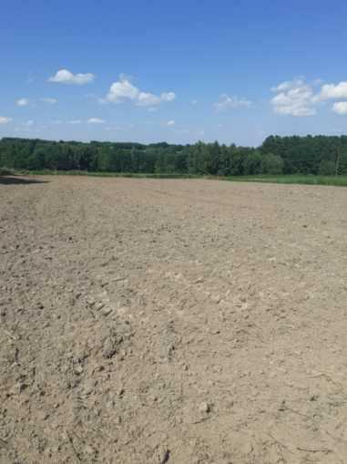 Mulczer Tarnów, Dębica, Brzesko