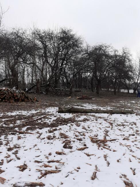 Mulczer Tarnów, Dębica, Brzesko