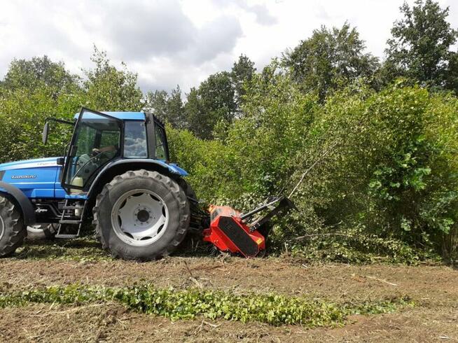 Mulczer Tarnów, Dębica, Brzesko