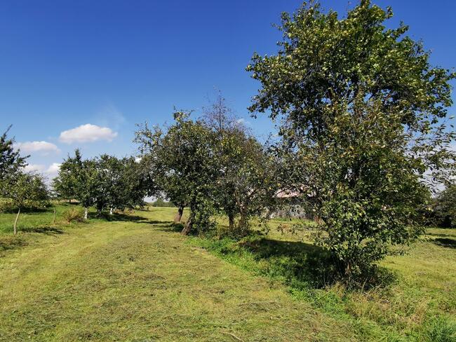 Dom z SADEM OWOCOWYM + możliwość dokupienia pola 3 ha