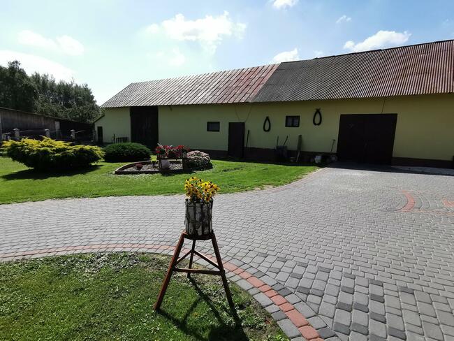 Dom z SADEM OWOCOWYM + możliwość dokupienia pola 3 ha