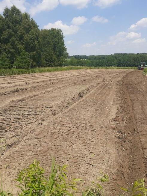 Mulczer Tarnów, Dębica, Brzesko