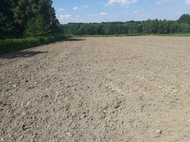 Mulczer Tarnów, Dębica, Brzesko