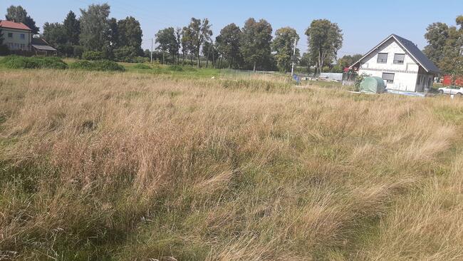 Ładna działka w RYJEWIE _ blisko Kwidzyn _ wszystkie MEDIA !