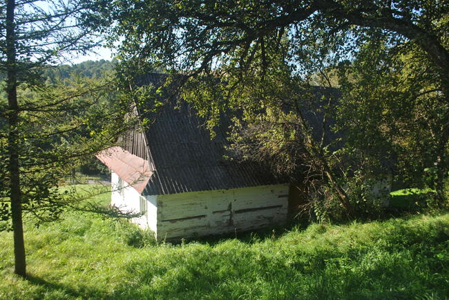 Polecam drewniany domek w Bieszczadach