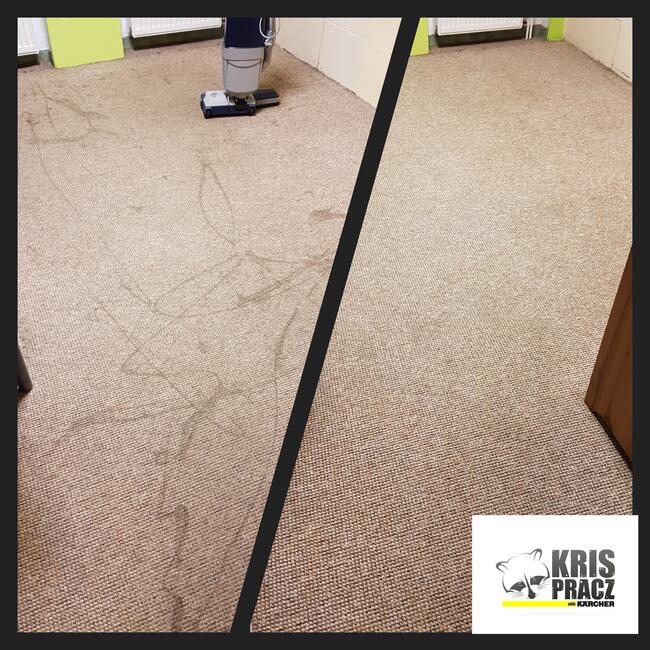 Pranie tapicerki pokojowej dywanów, wykładzin,karcherwynajem