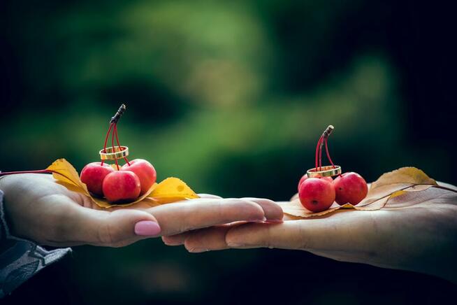 Wideofilmowanie-Fotografia MonMar