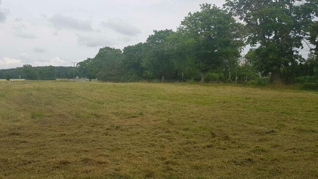 Sprzedam działki Mostkowo gmina Barlinek