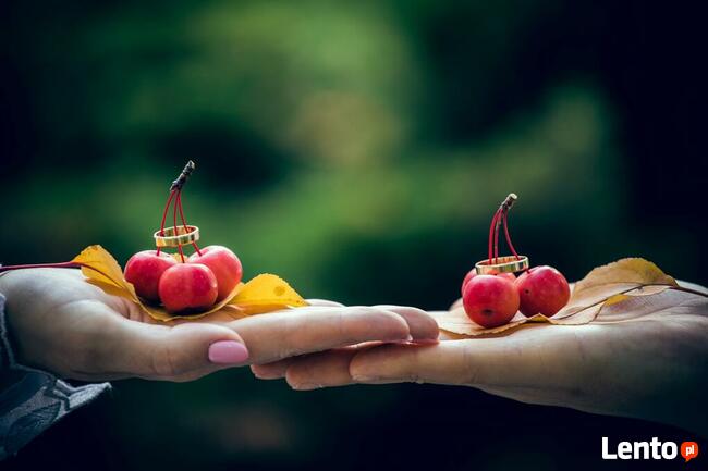 Wideofilmowanie-Fotografia MonMar, Bydgoszcz, Toruń